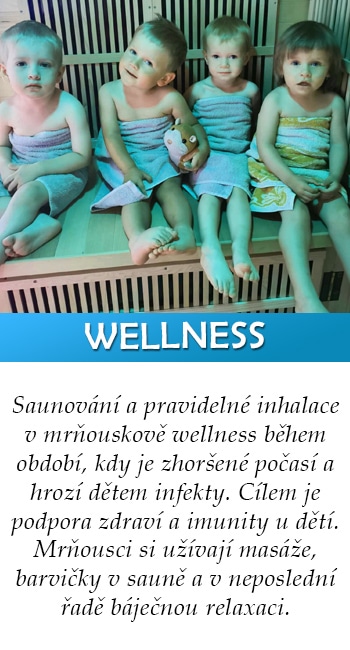 Wellness v Mrňouskovi