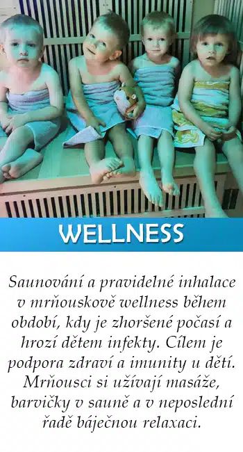 Wellness v Mrňouskovi
